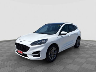 Ford Kuga 1.5 EcoBlue 120 CV 2WD ST-Line usata