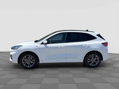 Ford Kuga 1.5 EcoBlue 120 CV 2WD ST-Line (2)