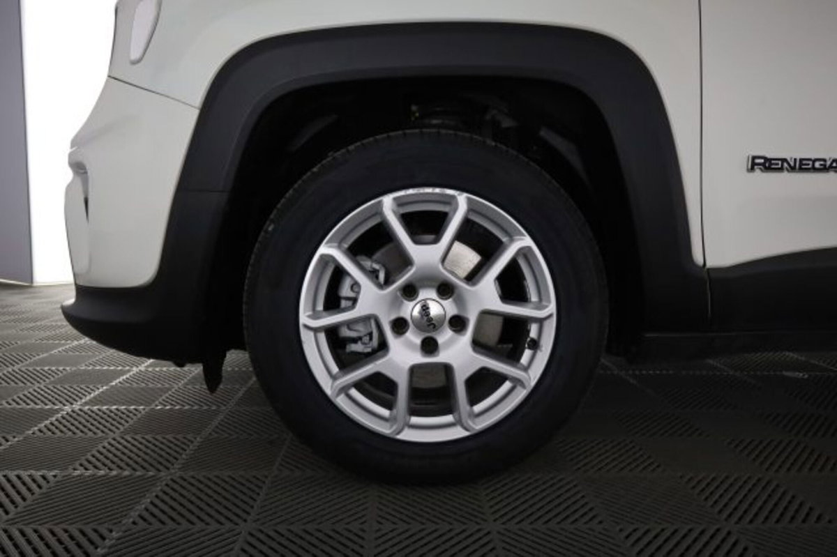 Jeep Renegade 1.0 T3 Night Eagle (8)