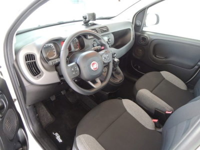 Fiat Panda 1.0 firefly hybrid s&s 70cv 5p.ti (6)