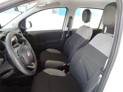 Fiat Panda 1.0 firefly hybrid s&s 70cv 5p.ti (7)