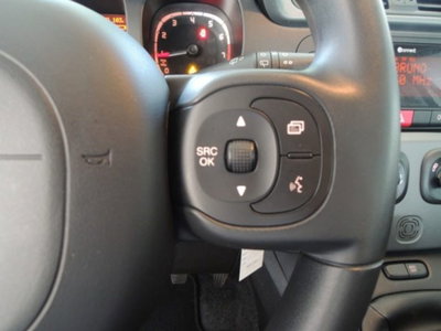 Fiat Panda 1.0 firefly hybrid s&s 70cv 5p.ti (8)