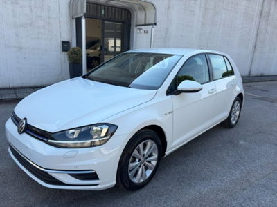 Volkswagen Golf 1.5 TGI DSG 5p. Business BlueMotion Technology usata