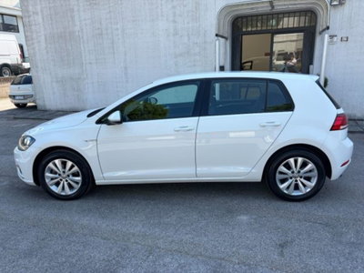 Volkswagen Golf 1.5 TGI DSG 5p. Business BlueMotion Technology (8)