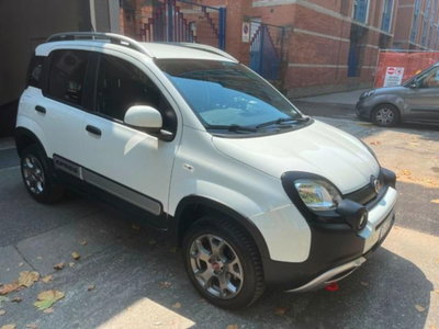 Fiat Panda Cross Cross 0.9 TwinAir Turbo S&S 4x4 (3)