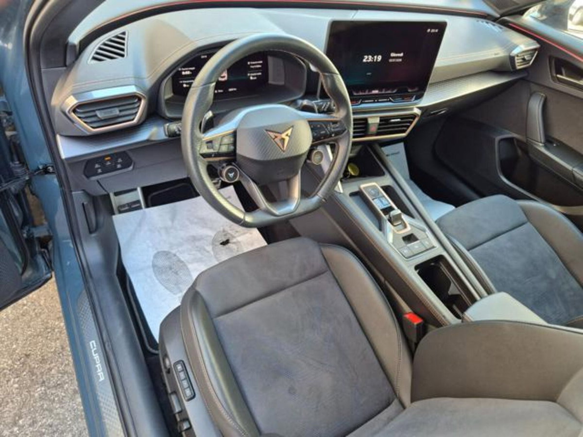 Cupra Formentor Formentor 2.0 TDI (11)