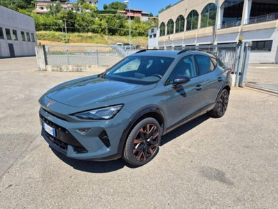 Cupra Formentor Formentor 2.0 TDI (2)