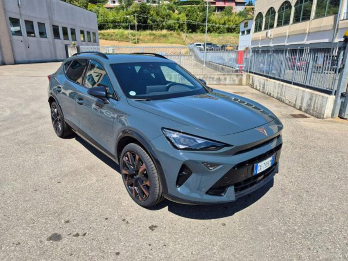 Cupra Formentor Formentor 2.0 TDI (4)