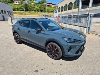 Cupra Formentor Formentor 2.0 TDI (5)