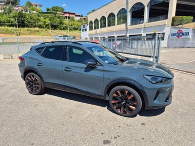 Cupra Formentor Formentor 2.0 TDI (6)