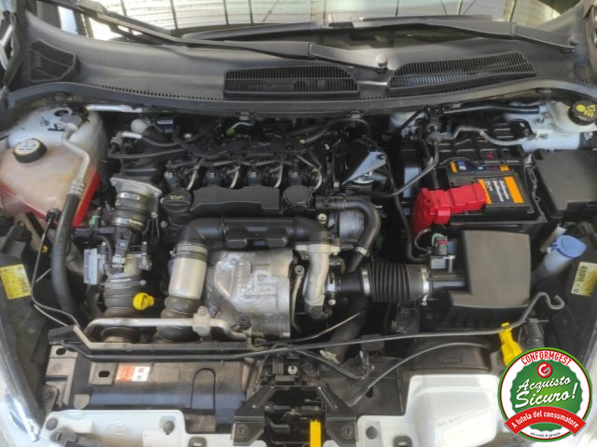 Ford Fiesta 1.6 TDCi 90CV 5 porte DPF Titanium (20)
