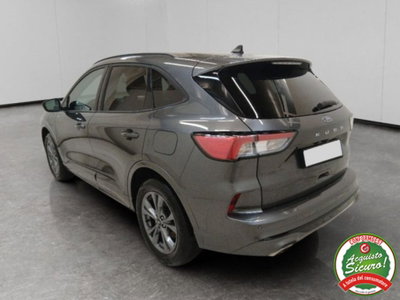 Ford Kuga 2.5 Plug In Hybrid 225 CV CVT 2WD ST-Line (6)