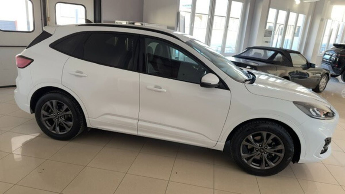 Ford Kuga 1.5 EcoBlue 120 CV 2WD ST-Line (4)