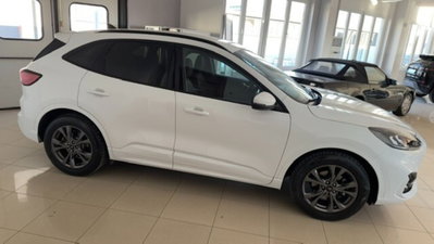 Ford Kuga 1.5 EcoBlue 120 CV 2WD ST-Line (4)