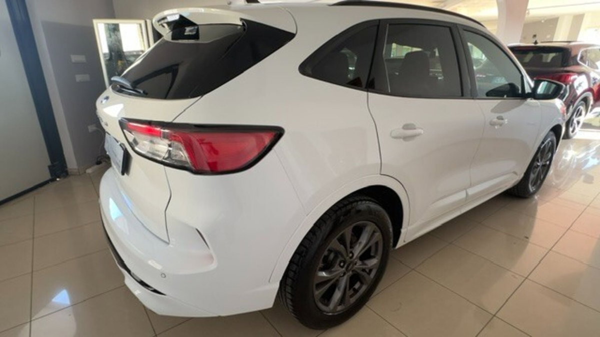 Ford Kuga 1.5 EcoBlue 120 CV 2WD ST-Line (5)