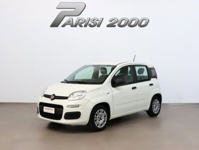 Fiat Panda 1.0 firefly hybrid s&s 70cv 5p.ti usata