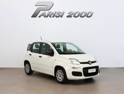Fiat Panda 1.0 firefly hybrid s&s 70cv 5p.ti (2)