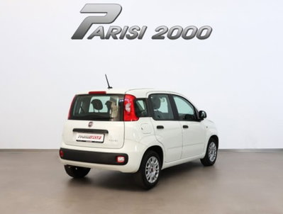 Fiat Panda 1.0 firefly hybrid s&s 70cv 5p.ti (3)