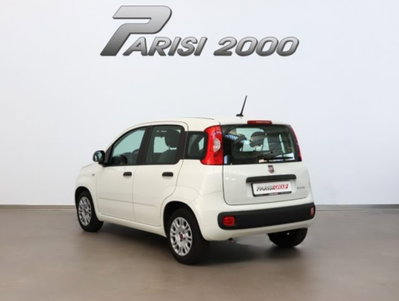 Fiat Panda 1.0 firefly hybrid s&s 70cv 5p.ti (4)
