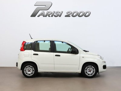 Fiat Panda 1.0 firefly hybrid s&s 70cv 5p.ti (6)
