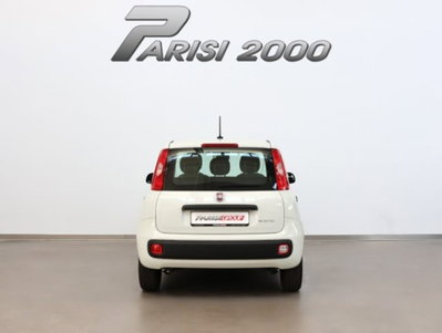 Fiat Panda 1.0 firefly hybrid s&s 70cv 5p.ti (7)