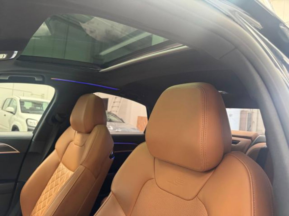 Audi A8 L 50 TDI 3.0 quattro tiptronic (17)