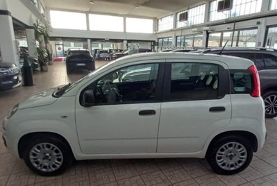 Fiat Panda 1.2 Easy (2)