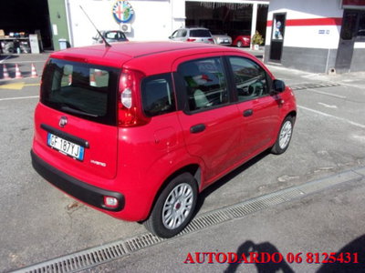 Fiat Panda 1.0 firefly hybrid s&s 70cv 5p.ti (4)