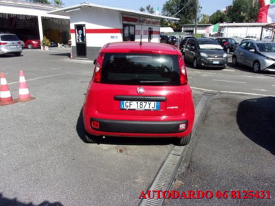 Fiat Panda 1.0 firefly hybrid s&s 70cv 5p.ti (5)