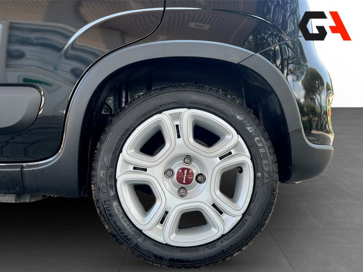Fiat Panda Cross Cross 1.0 FireFly S&S Hybrid (19)