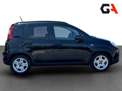 Fiat Panda Cross Cross 1.0 FireFly S&S Hybrid (8)