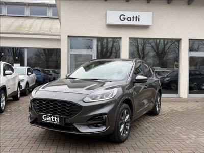 Ford Kuga 2.5 Plug In Hybrid 225 CV CVT 2WD usata