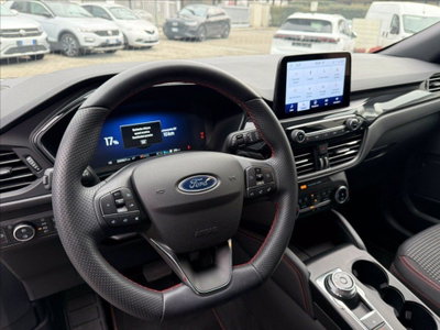 Ford Kuga 2.5 Plug In Hybrid 225 CV CVT 2WD (10)