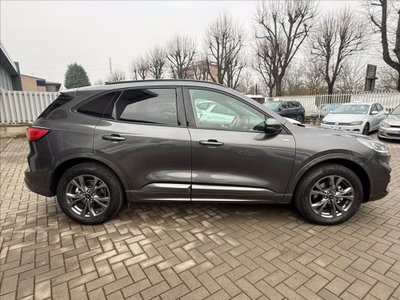Ford Kuga 2.5 Plug In Hybrid 225 CV CVT 2WD (4)