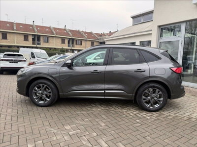 Ford Kuga 2.5 Plug In Hybrid 225 CV CVT 2WD (8)