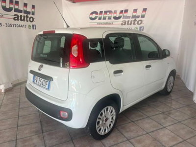 Fiat Panda 1.2 Easy (4)