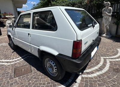 Fiat Panda 1100 i.e. cat Hobby (5)