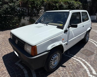 Fiat Panda 1100 i.e. cat Hobby (7)