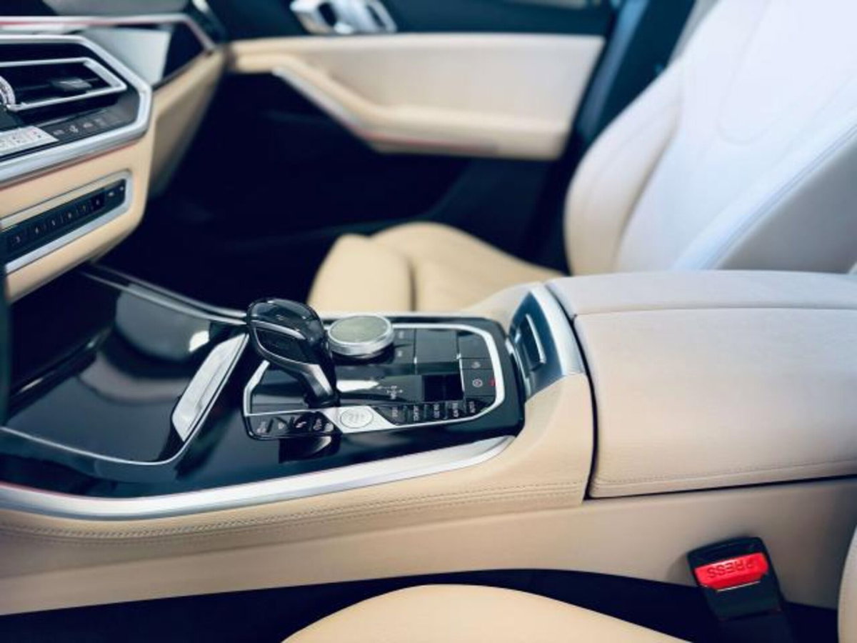 BMW X5 xDrive25d xLine (10)