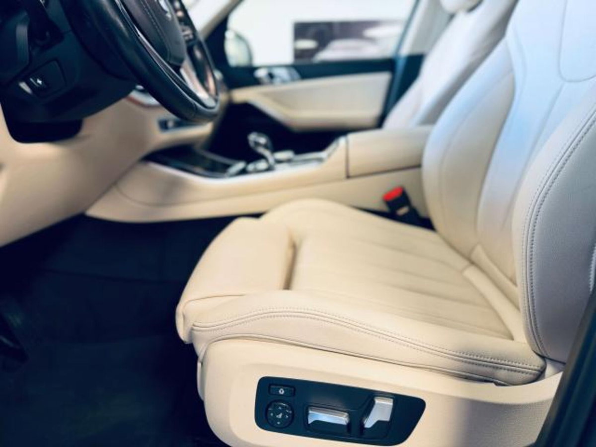 BMW X5 xDrive25d xLine (11)
