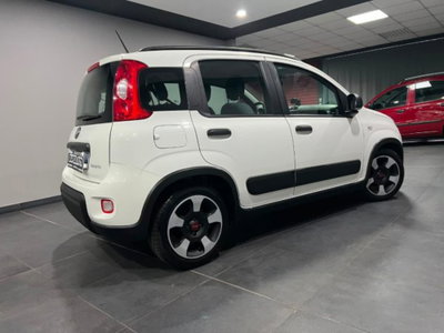 Fiat Panda 1.0 firefly hybrid s&s 70cv 5p.ti (4)