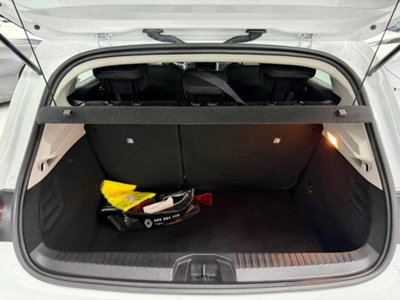 Renault Clio Blue dCi 100 CV 5 porte Business (20)