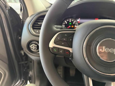 Jeep Renegade 1.6 Mjt 130 CV Limited (12)