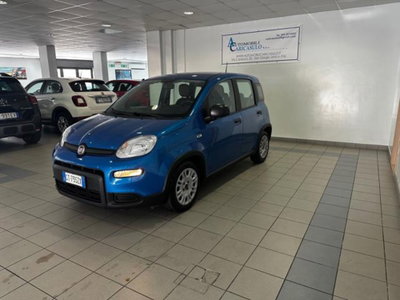 Fiat Panda 1.0 firefly hybrid s&s 70cv 5p.ti usata