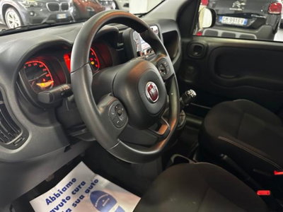 Fiat Panda 1.0 firefly hybrid s&s 70cv 5p.ti (6)