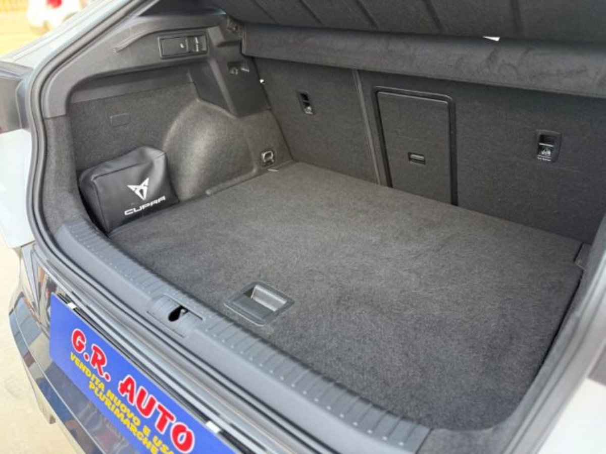Cupra Formentor Formentor 2.0 tdi 4drive 150cv dsg (11)