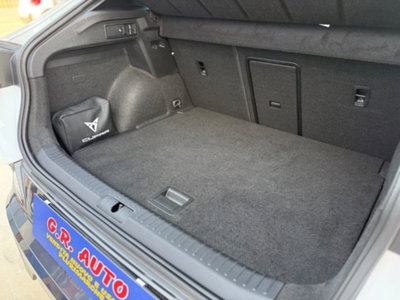 Cupra Formentor Formentor 2.0 tdi 4drive 150cv dsg (11)