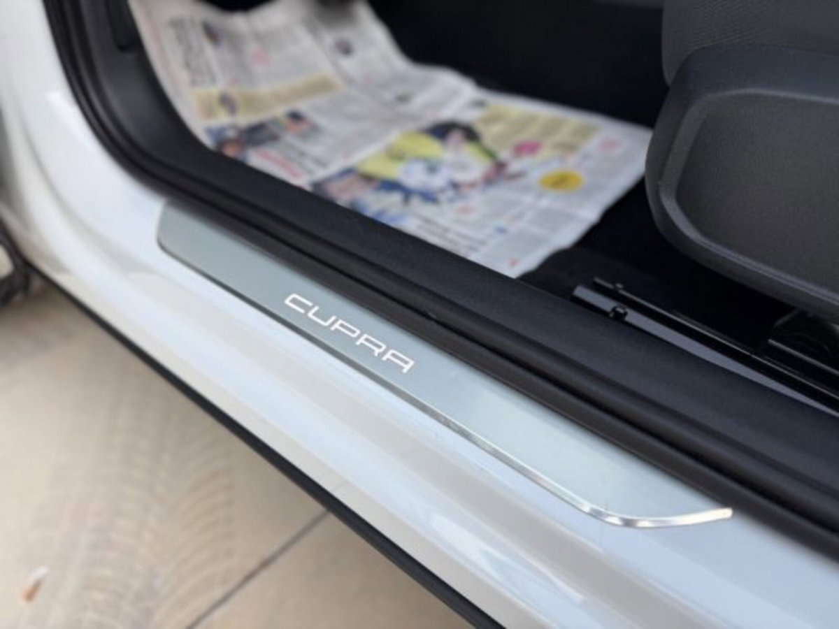 Cupra Formentor Formentor 2.0 tdi 4drive 150cv dsg (15)