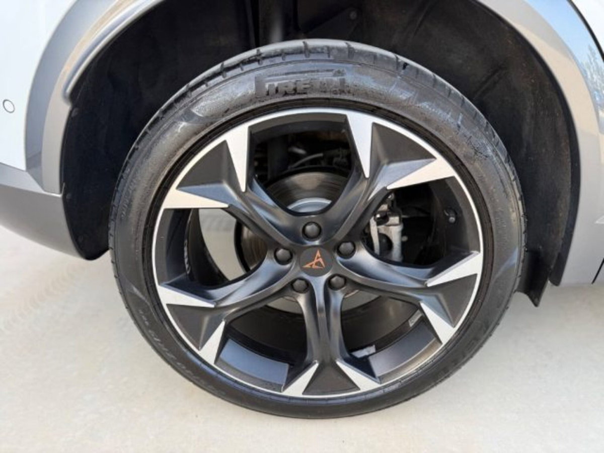 Cupra Formentor Formentor 2.0 tdi 4drive 150cv dsg (8)