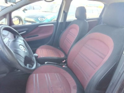 Fiat Punto Evo 1.3 Mjt 75 CV 5 porte Active (14)